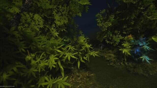 Creatura PC Screenshot