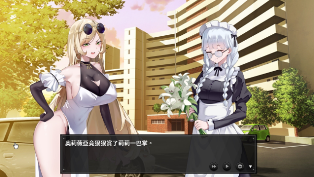 Honeymoon: Mystery Journey Gameplay Screenshot