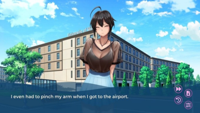Swimmer Admiration PC Screenshot